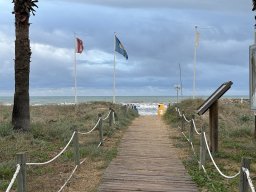 265-19-01-2026 IMG_3482